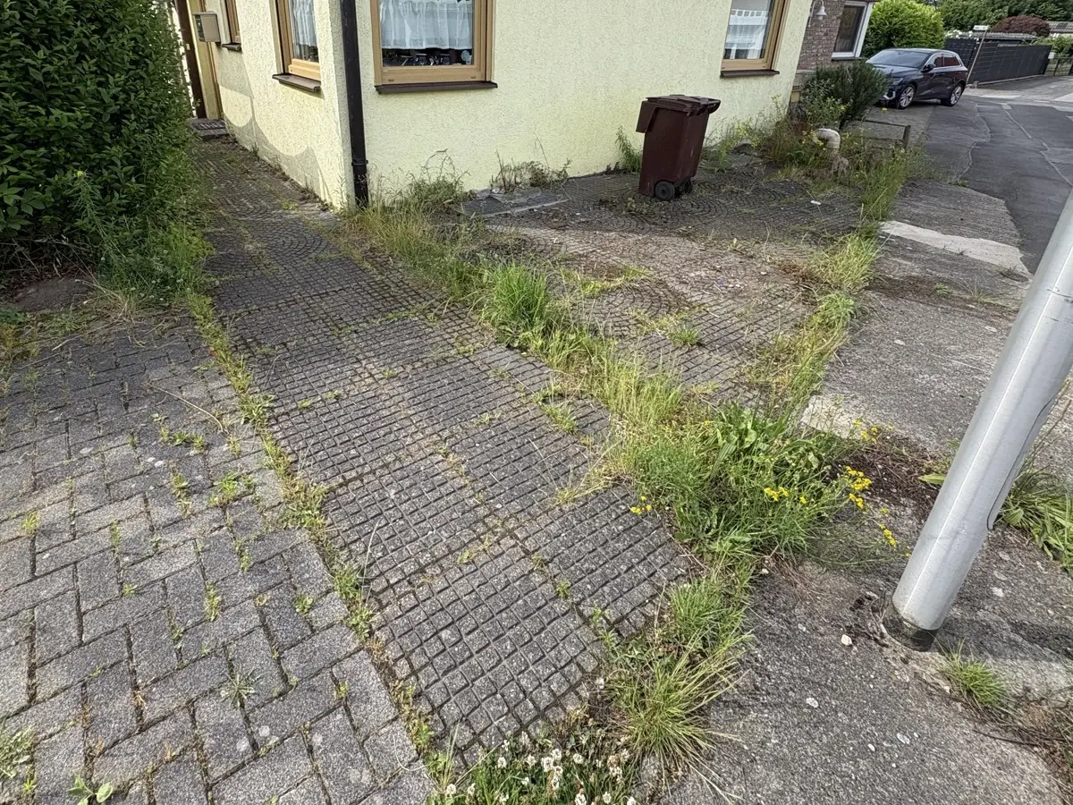 Einfahrt mit starkem Unkrautbewuchs zwischen den Pflastersteinen vor der Reinigung